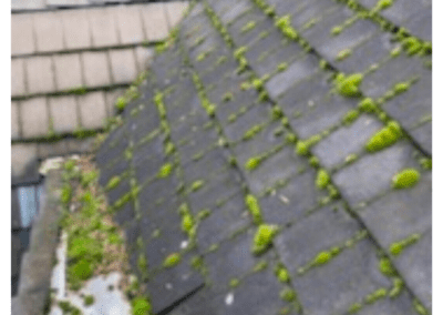 Moss On Roof Beaverton Gutter Cleaning